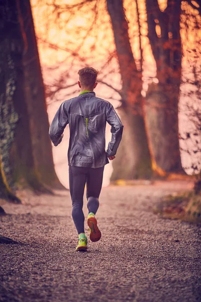 Runner park güneş sonbaharda açık 