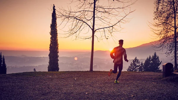 Runner park güneş sonbaharda açık 