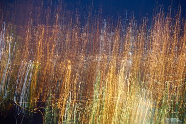 bokeh parlak şeritler soyut