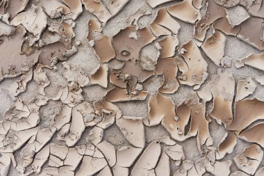 Tırtıklı kiri dokusuna kurutulmuş