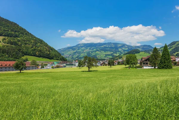Eine Sommerliche Aufnahme Schweizer Kanton Schwyz Das Bild Entstand Ende — Stockfoto