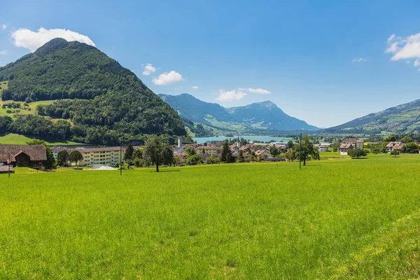 Vue Été Dans Village Seewen Dans Canton Suisse Schwyz Rigi — Photo