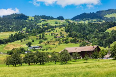 Schwyz, İsviçre Kantonu yaz görünümünde. Schwyz şehir bölgesinin Haziran sonunda resmin çekildiği.