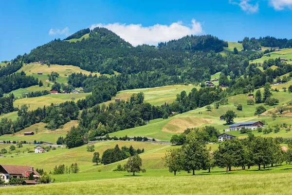 Une Vue Estivale Dans Canton Suisse Schwyz Photo Été Prise — Photo