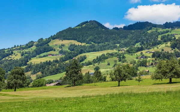 Letní pohled v švýcarského kantonu Schwyz — Stock fotografie
