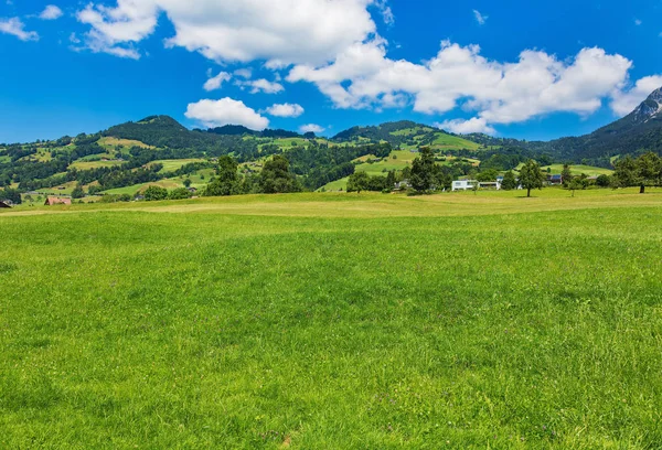 Schwyz, İsviçre Kantonu yaz görünümünde, Schwyz şehir bölgesinin Haziran sonunda resmin çekildiği.