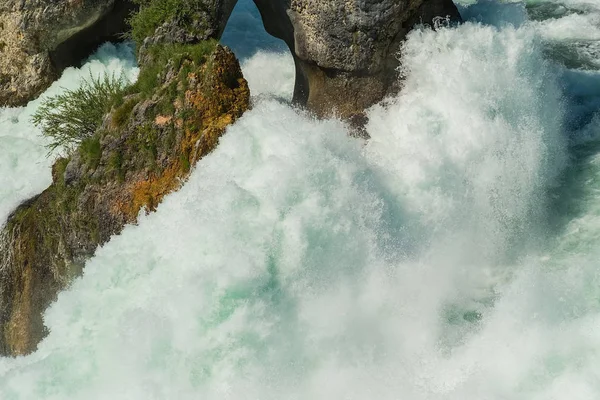 Rhine Falls şelale İsviçre akış su.