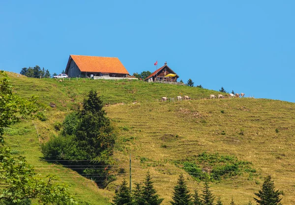 Гора Риги Швейцария Июля 2018 Года Взгляд Гору Риги Летом — стоковое фото