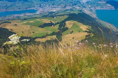 Mt. Rigi İsviçre'den yaz aylarında görüntülemek