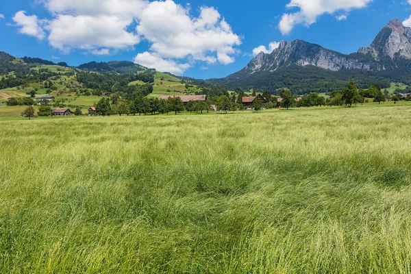 Une Vue Estivale Dans Canton Suisse Schwyz Avec Les Sommets — Photo