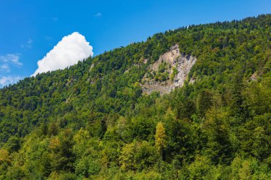 Mt. Harderkulm İsviçre'de, yaz aylarında Interlaken Şehir görüntülemek.