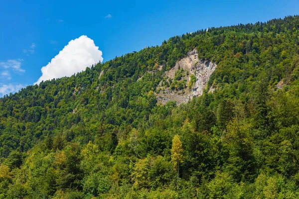 Mt. Harderkulm İsviçre'de, yaz aylarında Interlaken Şehir görüntülemek.
