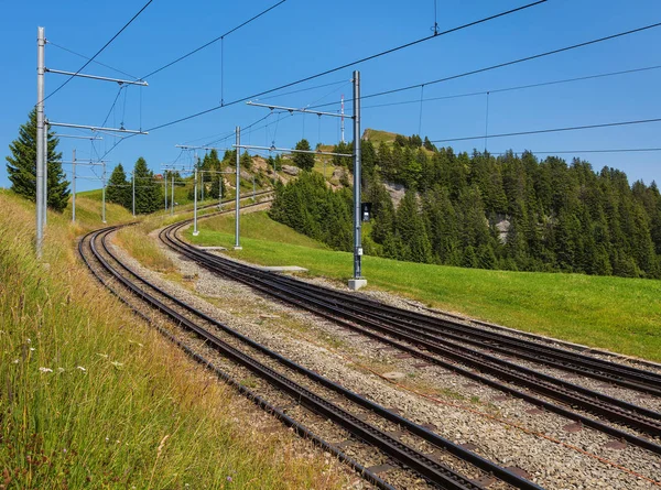 Mt. Rigi İsviçre raf demiryoluna yaz aylarında. Mt. Rigi popüler bir turizm, normal hat raf demiryolu ile erişilebilir olduğunu.