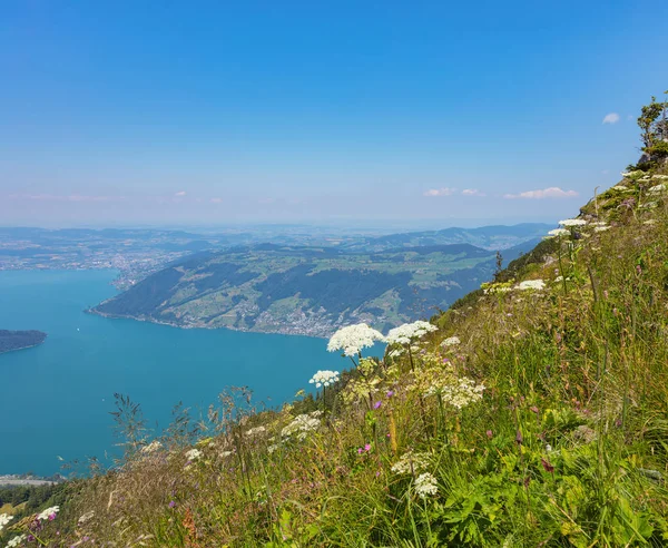Vue Depuis Rigi Suisse Été Rigi Est Une Destination Touristique — Photo