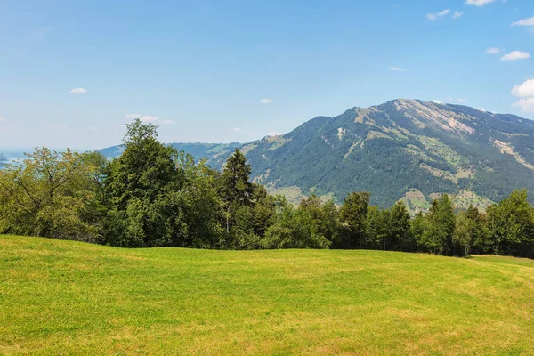 Ein Sommerlicher Blick Vom Fuße Des Rigi Der Schweiz Richtung — Stockfoto