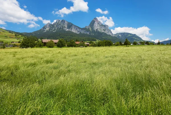 在瑞士施维茨州的夏季景观 Kleiner Mythen Grosser Mythen 在背景下的峰会 这张照片是6月底在施维茨镇地区拍摄的 — 图库照片