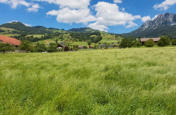 Letní Pohled Švýcarského Kantonu Schwyz Snímek Byl Pořízen Konci Června — Stock fotografie