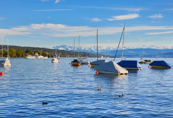 Evening on Lake Zurich in Switzerland — Stock Photo, Image