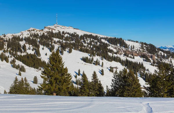 Csúcstalálkozó Rigi Télen Svájcban Rigi Egy Népszerű Idegenforgalmi Célpont Megközelíthető — Stock Fotó