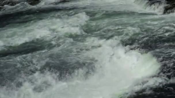 Água Rio Reno Logo Acima Cachoeira Das Cataratas Reno Suíça — Vídeo de Stock