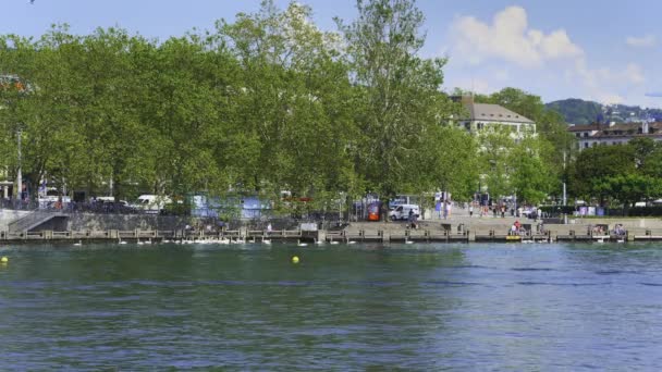 Zurich Suiza Junio 2019 Personas Terraplén Del Lago Zurich Cisnes — Vídeos de Stock