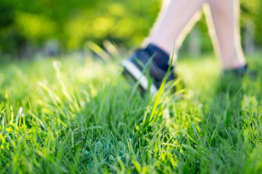 insan çim yakın çekim üzerinde yürüyor