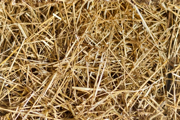 干し草のシームレスなテクスチャ背景 — ストック写真
