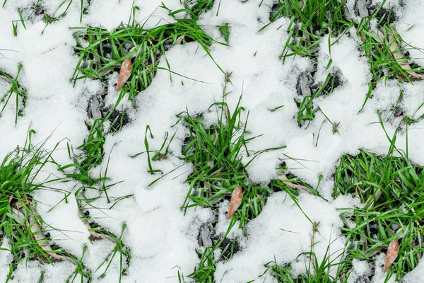 Gras Schnee Nahtlose Textur Hintergrund — Stockfoto