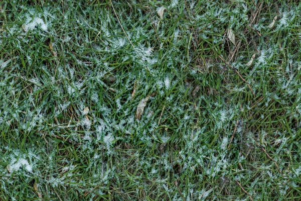 Gras Schnee Nahtlose Textur Hintergrund — Stockfoto