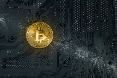 Altın Bitcoins çip. Crypt emanet. Sanal para. Madencilik. Güvenlik.