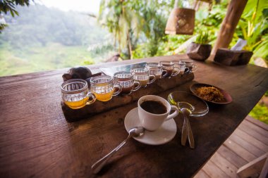 Kahve Luwak. Egzotik seyahat turizm. Ekvator geri kalanı. Bali Endonezya