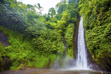 Şelale. Egzotik Turizm. Ekvator geri kalanı. Bali Endonezya