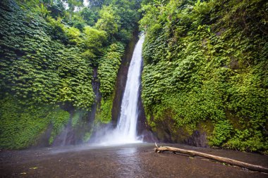 Şelale. Egzotik Turizm. Ekvator geri kalanı. Bali Endonezya