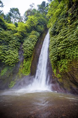 Şelale. Egzotik Turizm. Ekvator geri kalanı. Bali Endonezya