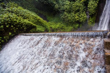 Şelale. Egzotik Turizm. Ekvator geri kalanı. Bali Endonezya