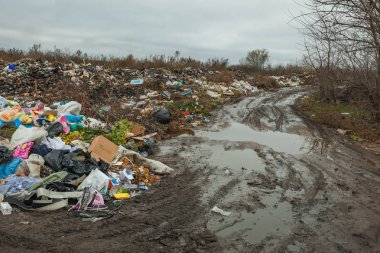 Bir çöp dökümü yolun yakınında.