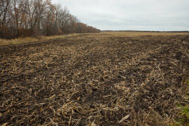 Sürülmüş alan. Tarım.