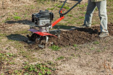 plows the ground in the garden tillage clipart
