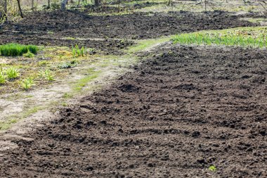  Bahçe toprak işleme toprağa pulluklar