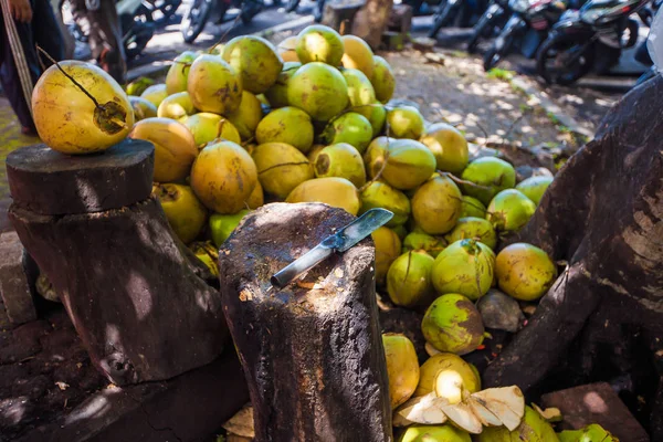 Coconut. Exotic Travel Tourism. The rest of the equator. Bali Indonesia