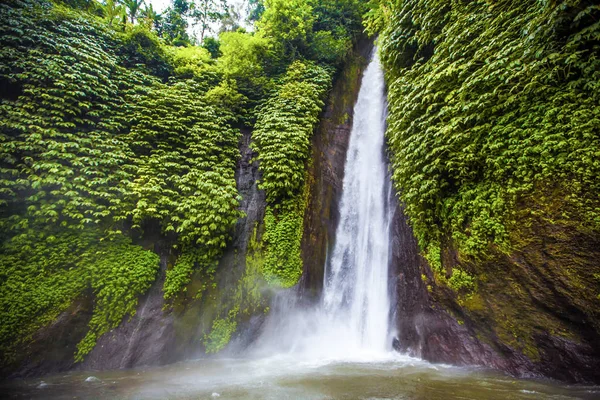 Şelale. Egzotik Turizm. Ekvator geri kalanı. Bali Endonezya