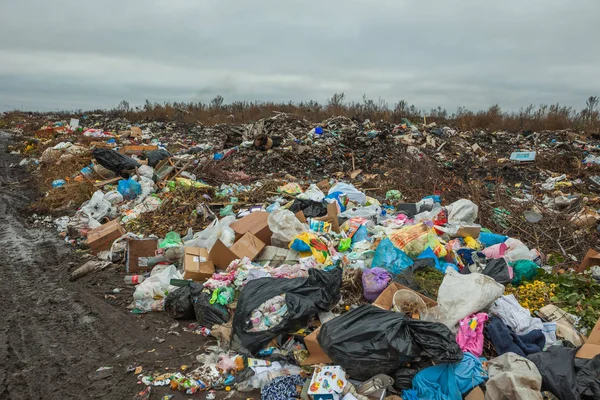 Eine Müllhalde Der Nähe Der Straße — Stockfoto