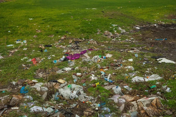 Yeşil çimlerin üzerinde çöp..