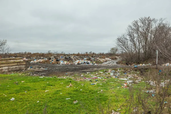 Garbage in the grass. the pollution of nature.