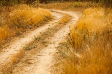 Kurutulmuş çim ile kumlu yol