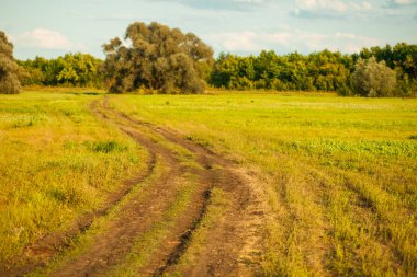 Güneşli toprak yol alanında