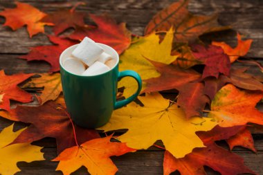 Arka plan eski koyu ahşap plakalar üzerinde kahve fincan kapuçino ve Marshmallow sonbahar yaprakları.