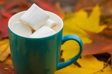 Arka plan eski koyu ahşap plakalar üzerinde kahve fincan kapuçino ve Marshmallow sonbahar yaprakları.