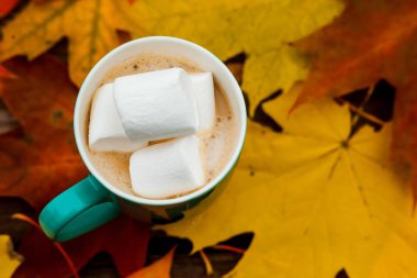 Arka plan eski koyu ahşap plakalar üzerinde kahve fincan kapuçino ve Marshmallow sonbahar yaprakları.