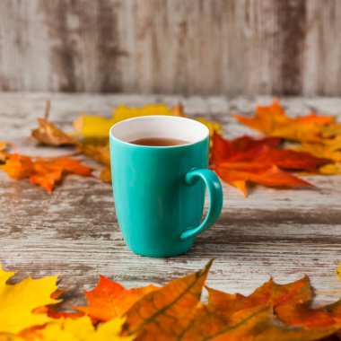 Bir fincan çay. Sonbahar yaprakları ahşap zemin üzerine çerçeve. Sarı kırmızı